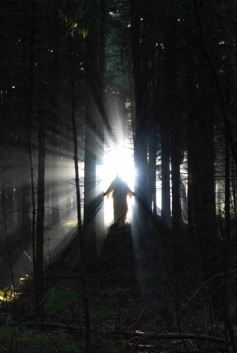 The Divine Paradox: Rediscovering the Mystical Christ Beyond Dogma, Atonement, and Fear